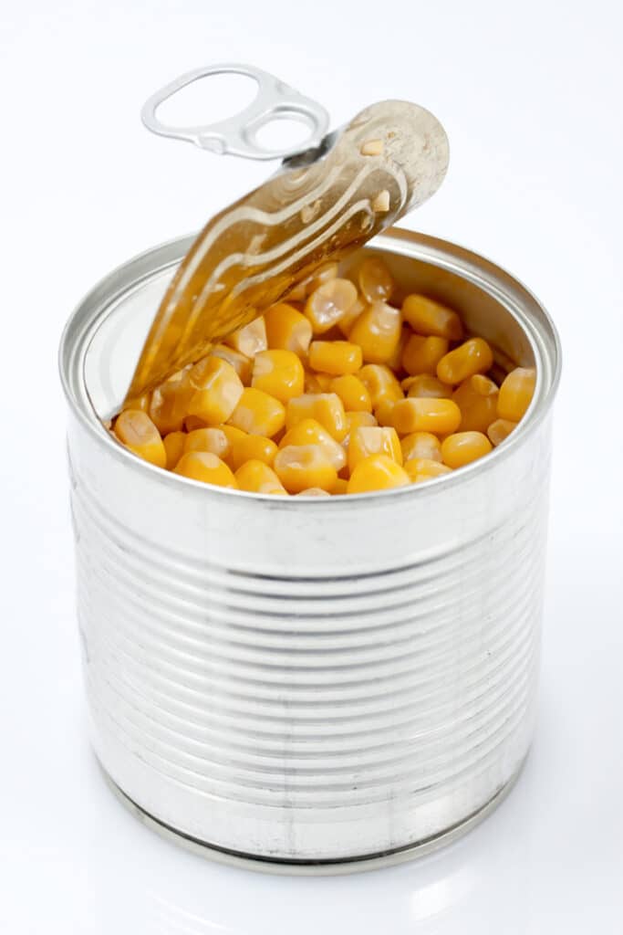 Home Care in Newport Coast CA: Benefits of Canned Food