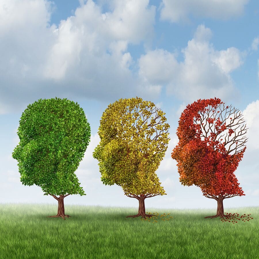 Elderly Care in Newport Beach CA: Reversing Memory Loss