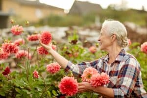 Home Care Assistance San Diego CA - Senior Self-Care Activities to Choose From